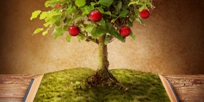 La pedagogia maieutica